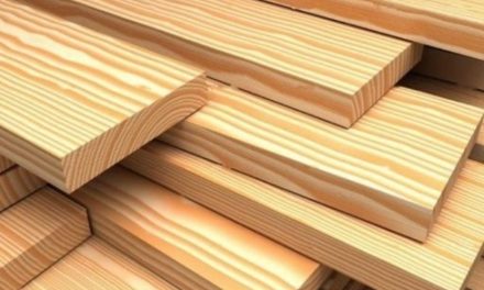 La importancia de la madera de pino en la carpintería: 10 aspectos clave